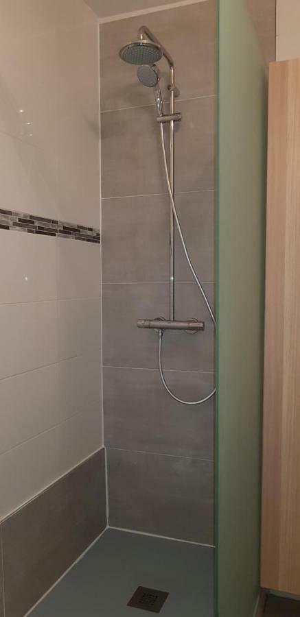 Apartment Hyper Centre 10 Pers Colmar
